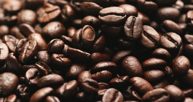 Artisan coffee beans